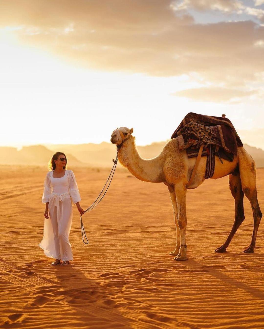 Tamim Luxury Wadi Rum Camp מראה חיצוני תמונה