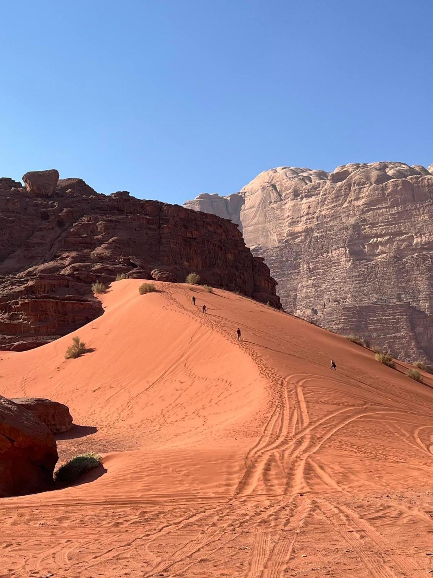 Tamim Luxury Wadi Rum Camp מראה חיצוני תמונה